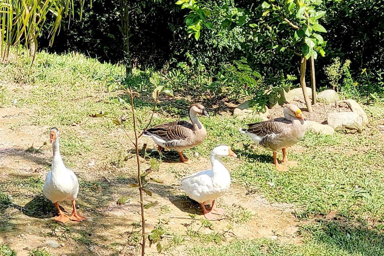 Recanto Dos Sabias - Chales Sao Bonifacio Sc 외부 사진