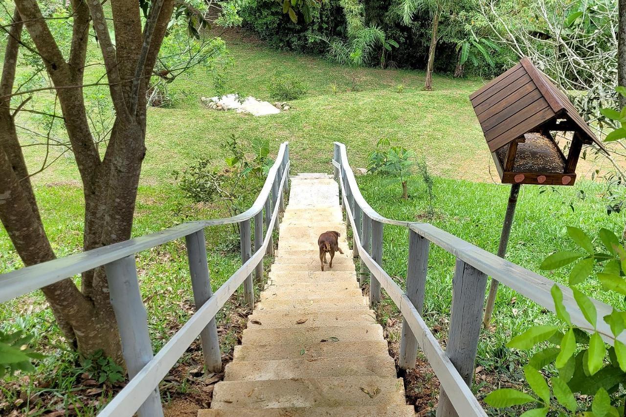 Recanto Dos Sabias - Chales Sao Bonifacio Sc 외부 사진